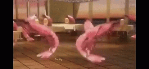 shrimp dancing